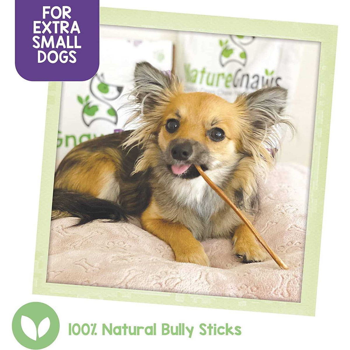Natural Beef Bully Sticks for Dogs C432203