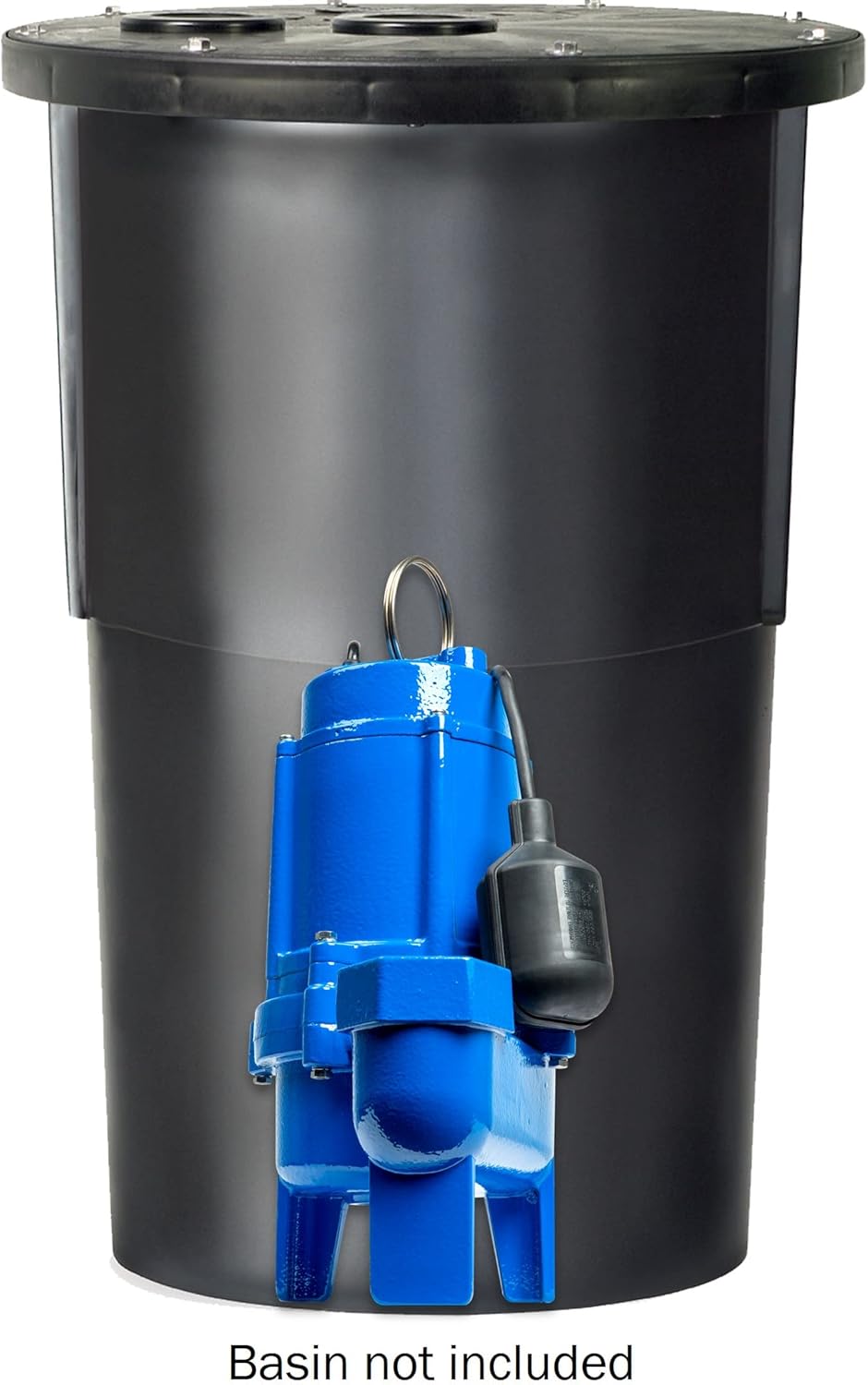 3/4 hp Cast Iron Sewage Pump with Tethered Switch E32420