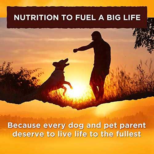 Wet Dog Food Chicken in Broth N19463