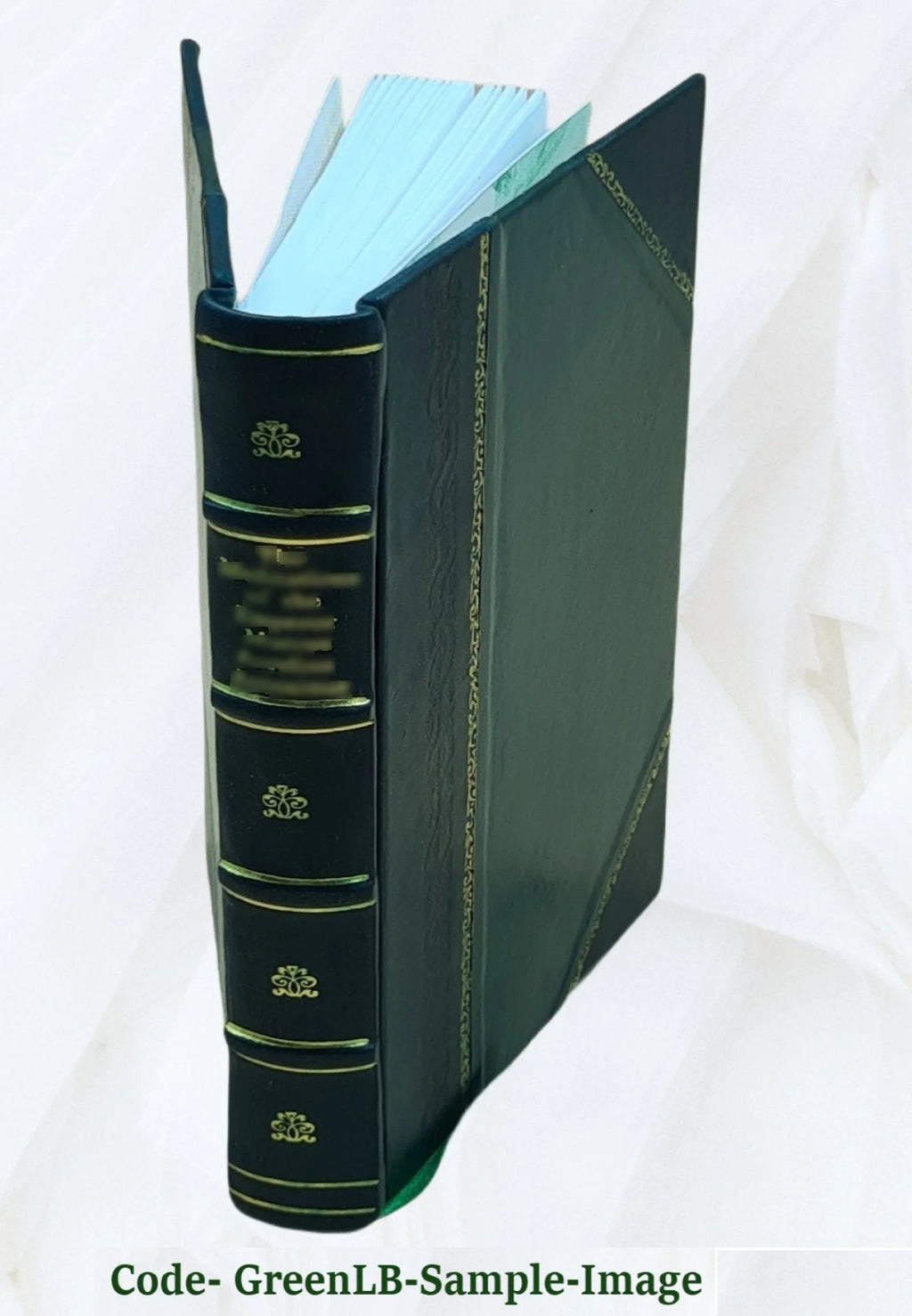 Natural History of the Strait of Magellan and West Coast of Patagonia R19802