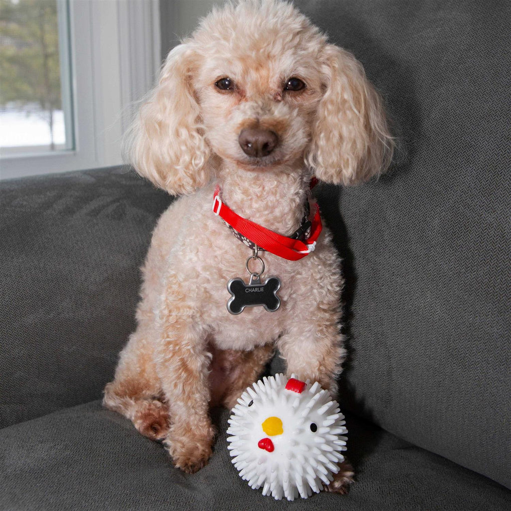 Chicken Dog Ball Z59902