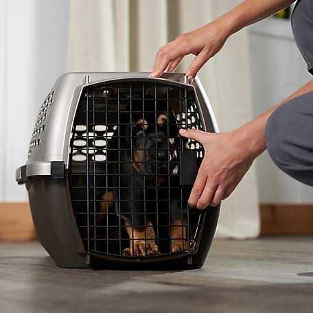 Medium Gray Pet Carrier G239398