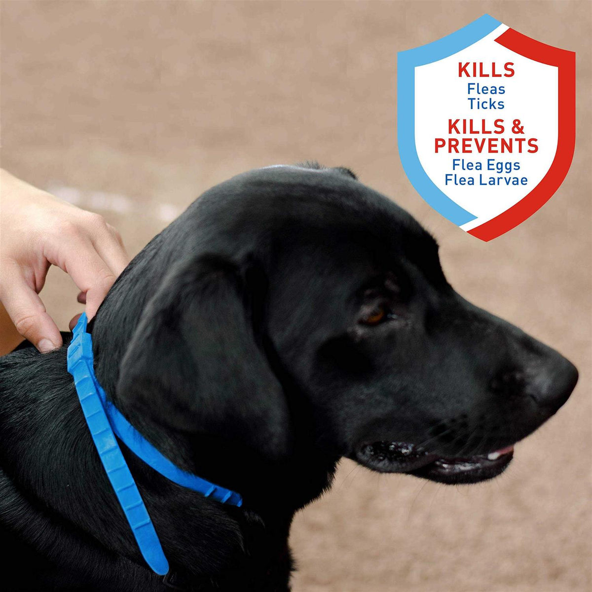 Flea and Tick Collar For Dogs M8522