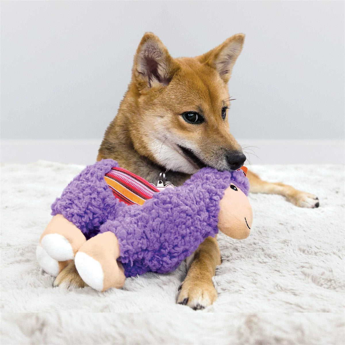 Donkey Dog Toy D858159