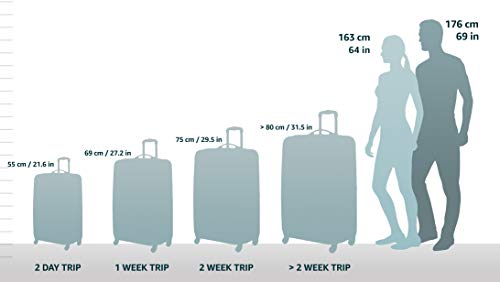 Purple 3-Piece Softside Luggage Set with Spinner Wheels (21/25/29) X541