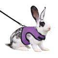 Adjustable Soft Harness with Elastic Leash for Rabbits D3252