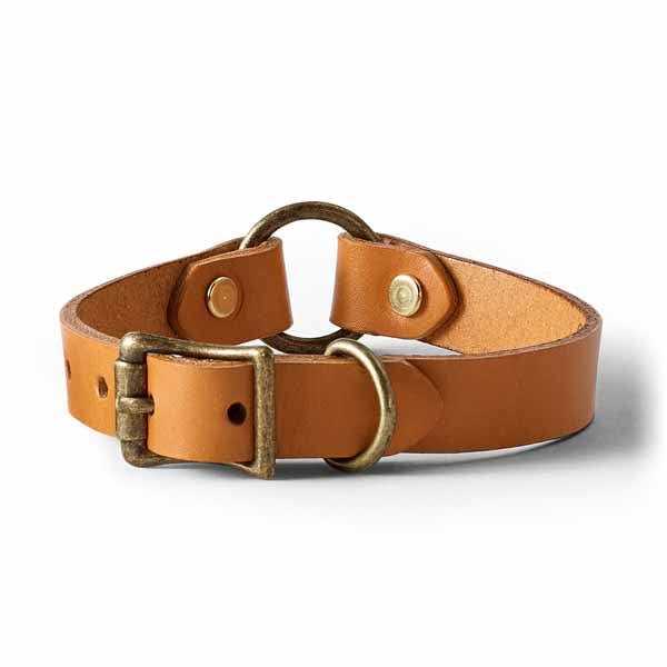 Leather Dog Collar Z8943