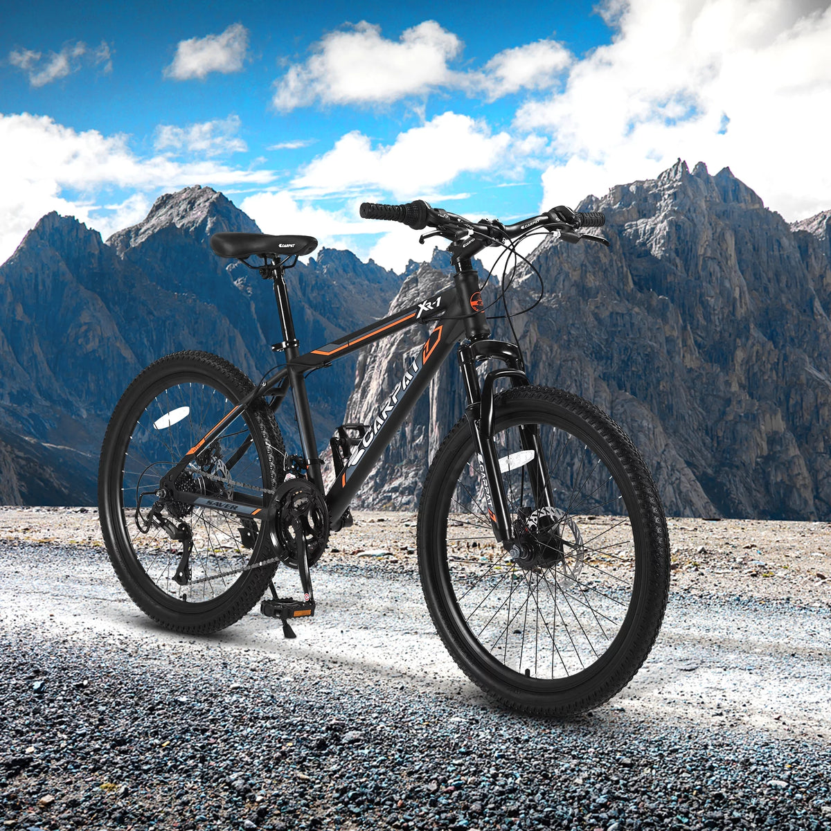 24 inch 21 Speed Mountain Bike P68638