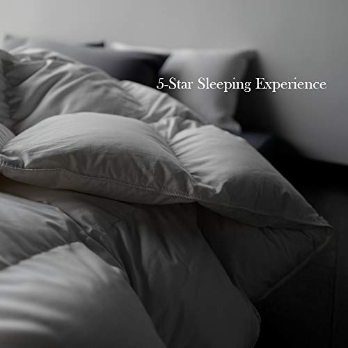 White King Size 60 Oz Goose Feathers Down Comforter with 8 Corner Tabs X273