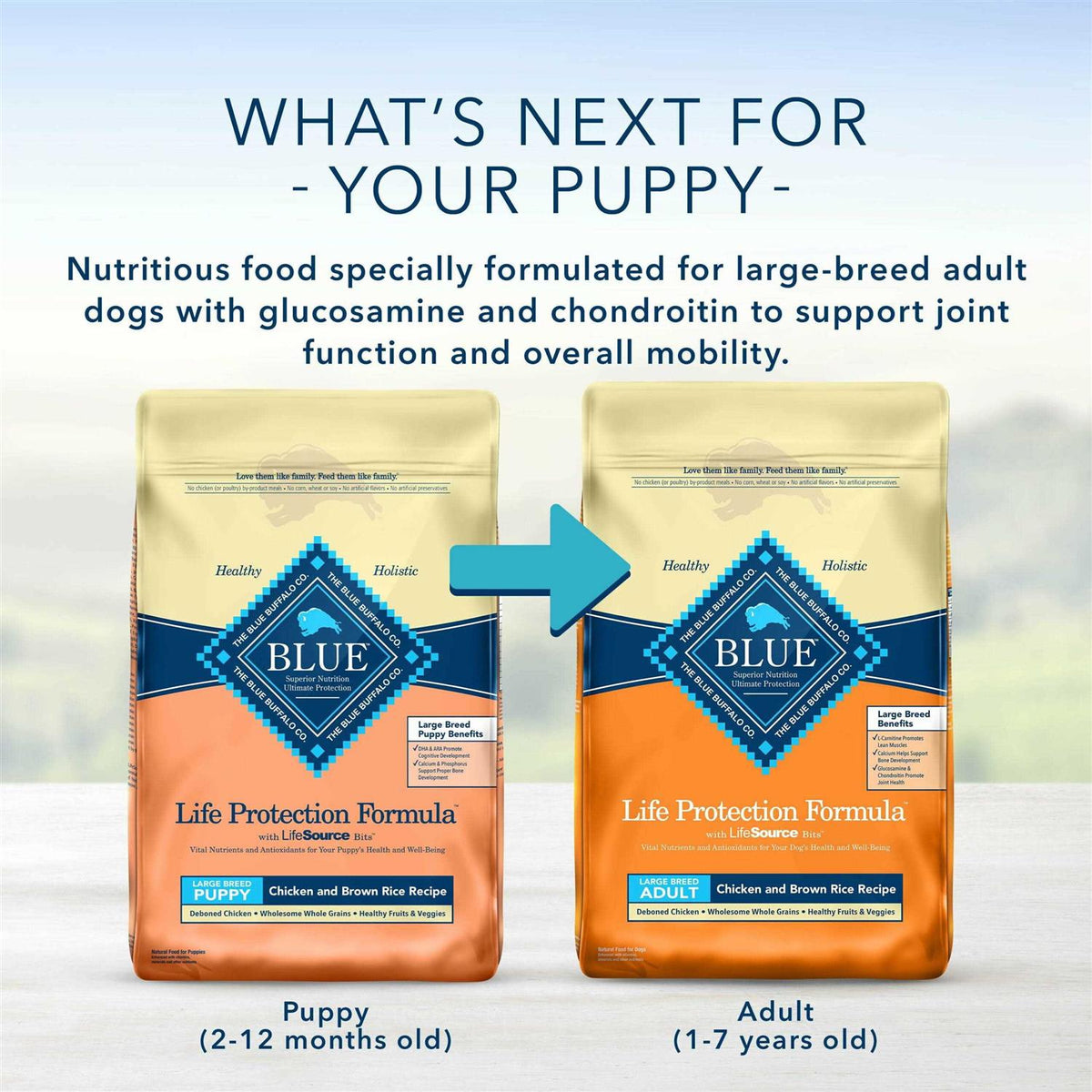 Large Breed Puppy Chicken & Brown Rice Recipe Dry Dog Food I8863