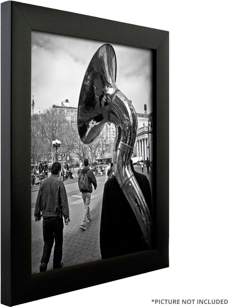 Matte Black 20 by 30-Inch Picture Frame T46308