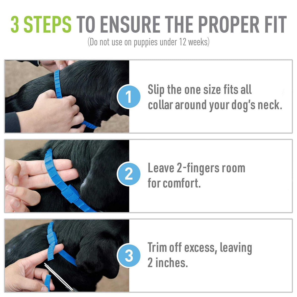 Flea and Tick Collar For Dogs M8522
