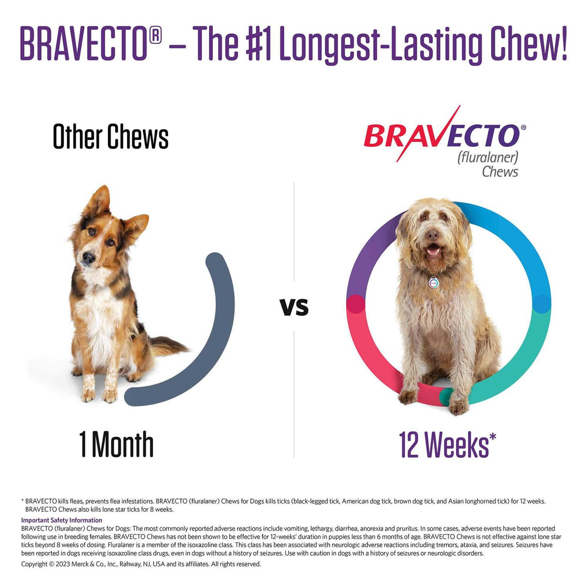 Chew for Dogs 88-123 lbs Y746