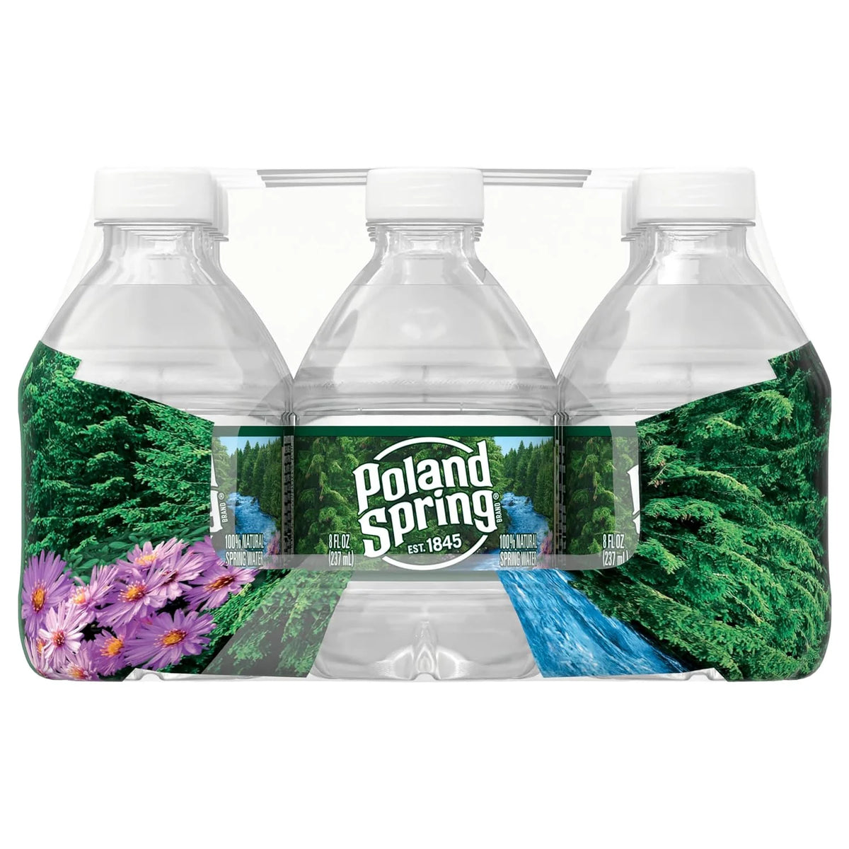 12 Pack Natural Spring Water 8 Ounces R39275