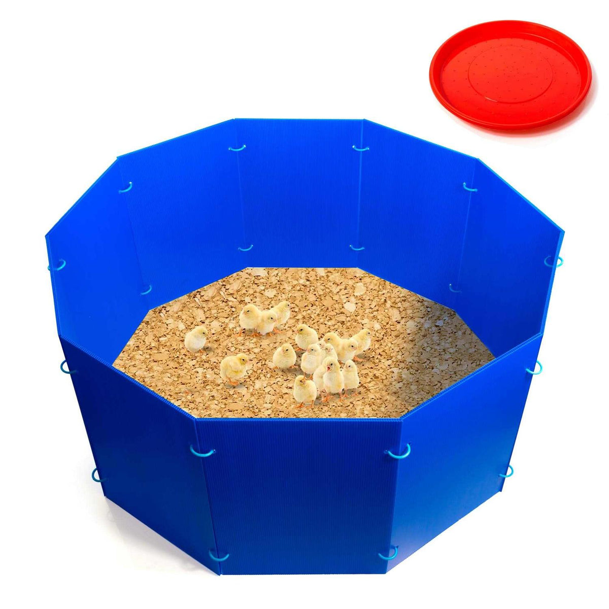 Blue Circular Chicken Brooder Box D936