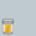 Exterior Paint (5-Gallon) H771