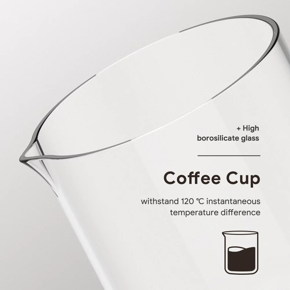 Cold Brew Coffee Maker Borosilicate Glass 300ml I126