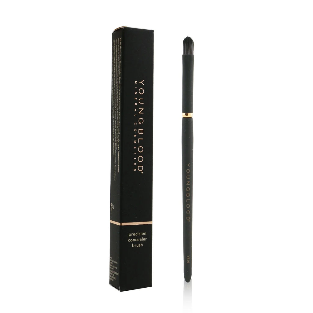 Precision Concealer Brush R4600