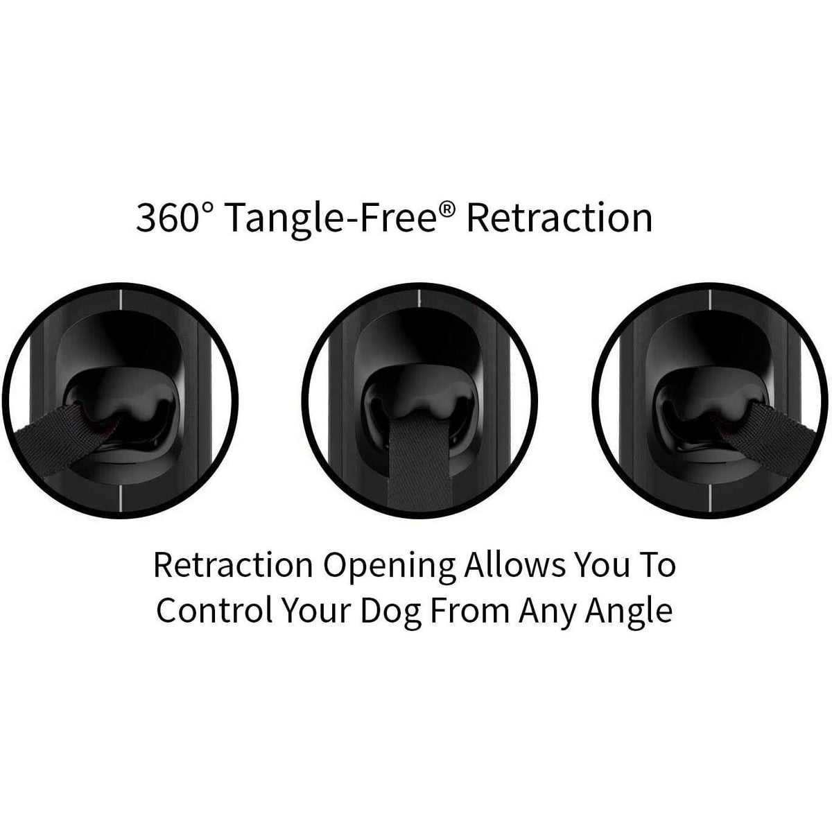 Retractable Dog Leash A459345