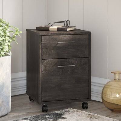 2-Drawer Vertical Filing Cabinet Dark Gray Hickory G25498