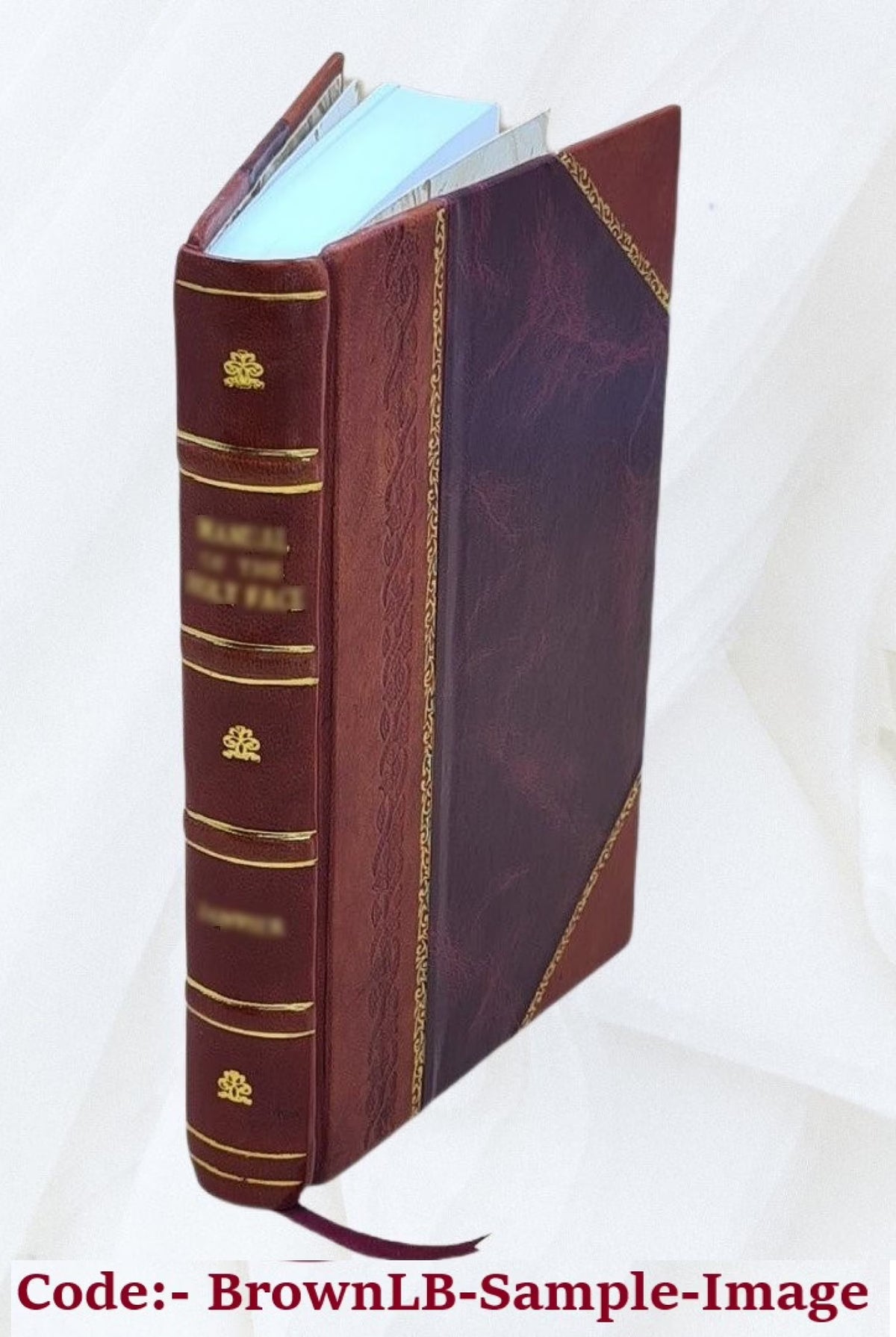 Children's Perceptions: An Experimental Study of Observations and Reports in School Children C3314
