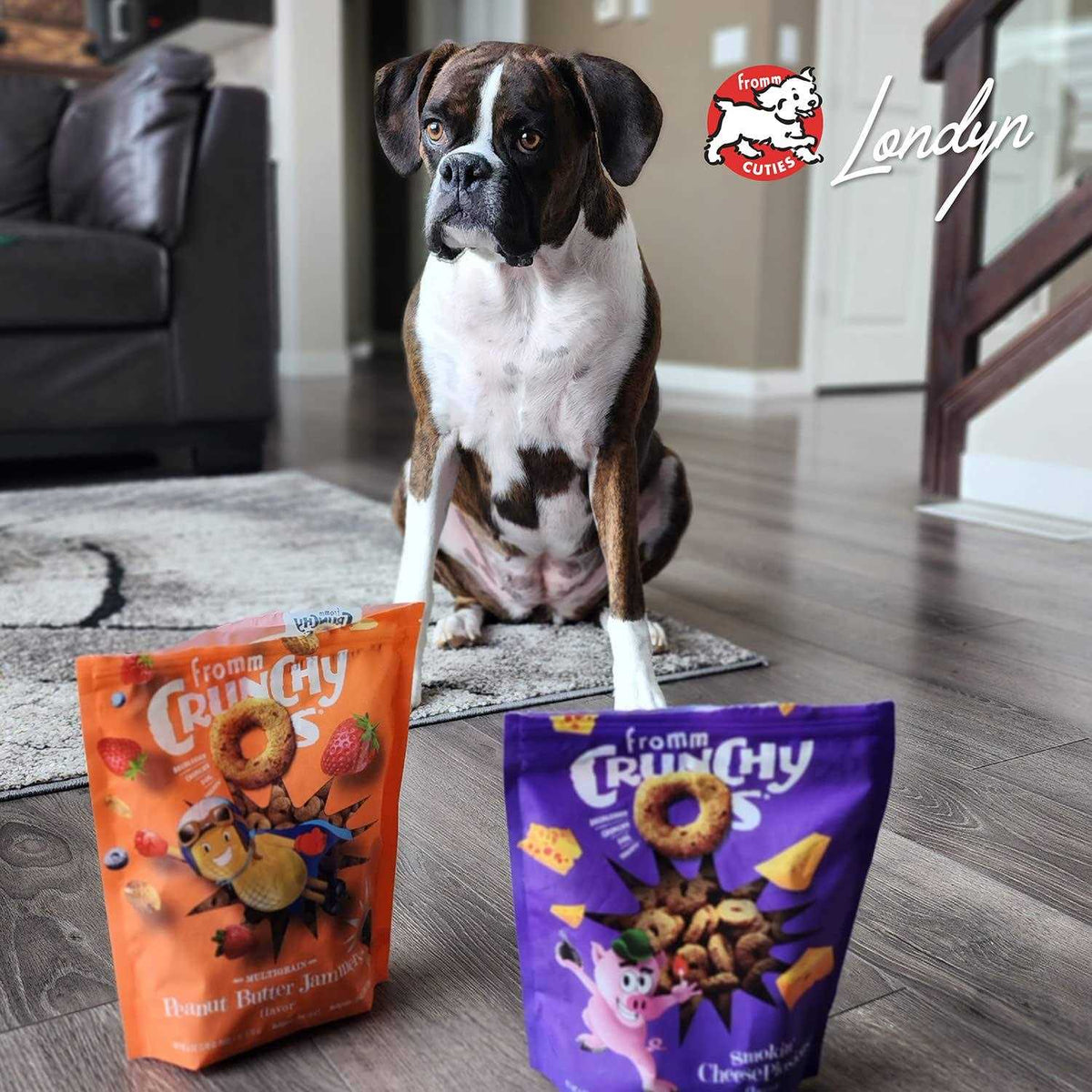 Crunchy O's Dog Treats Y871648
