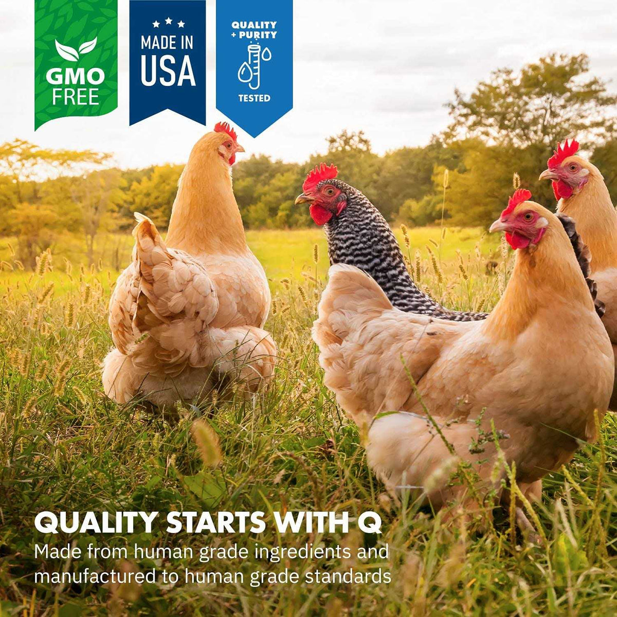 Probiotics for Chickens & Poultry C6663