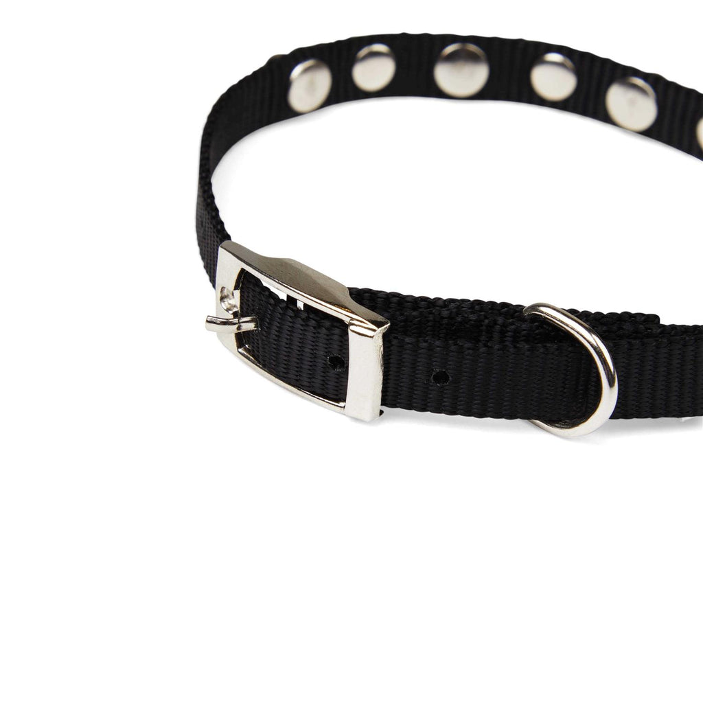 Black Bling Dog Collar X8898