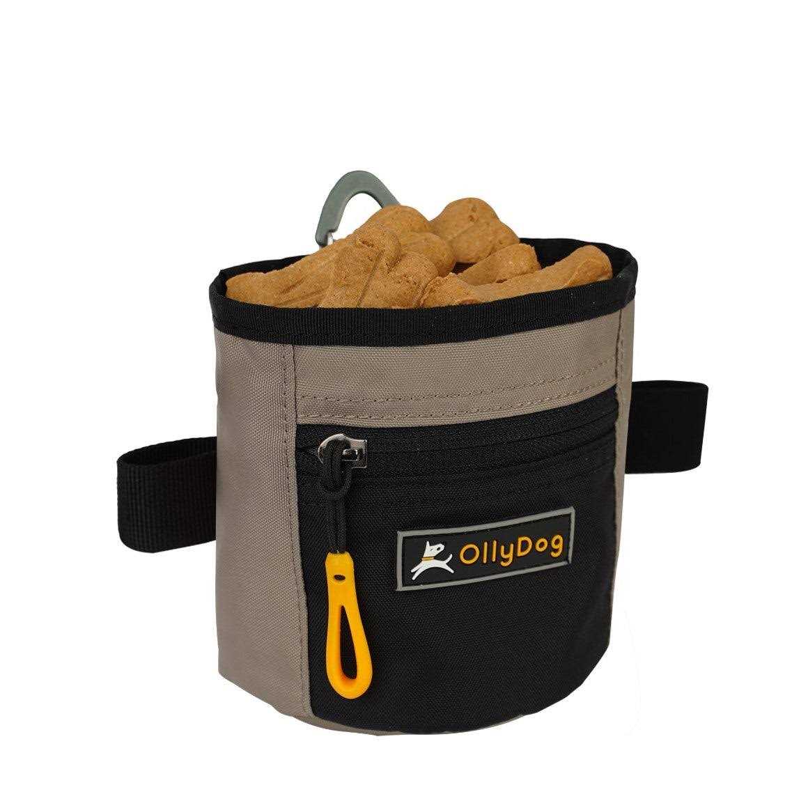 Treat Bag R850942