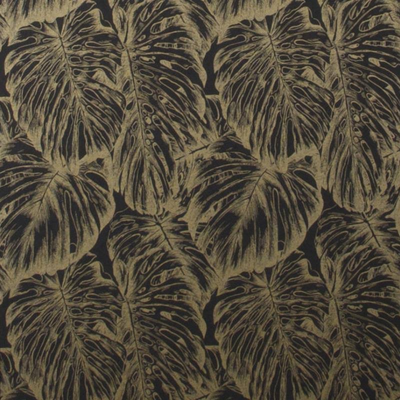 Tropical Parakeet Wallpaper J64075