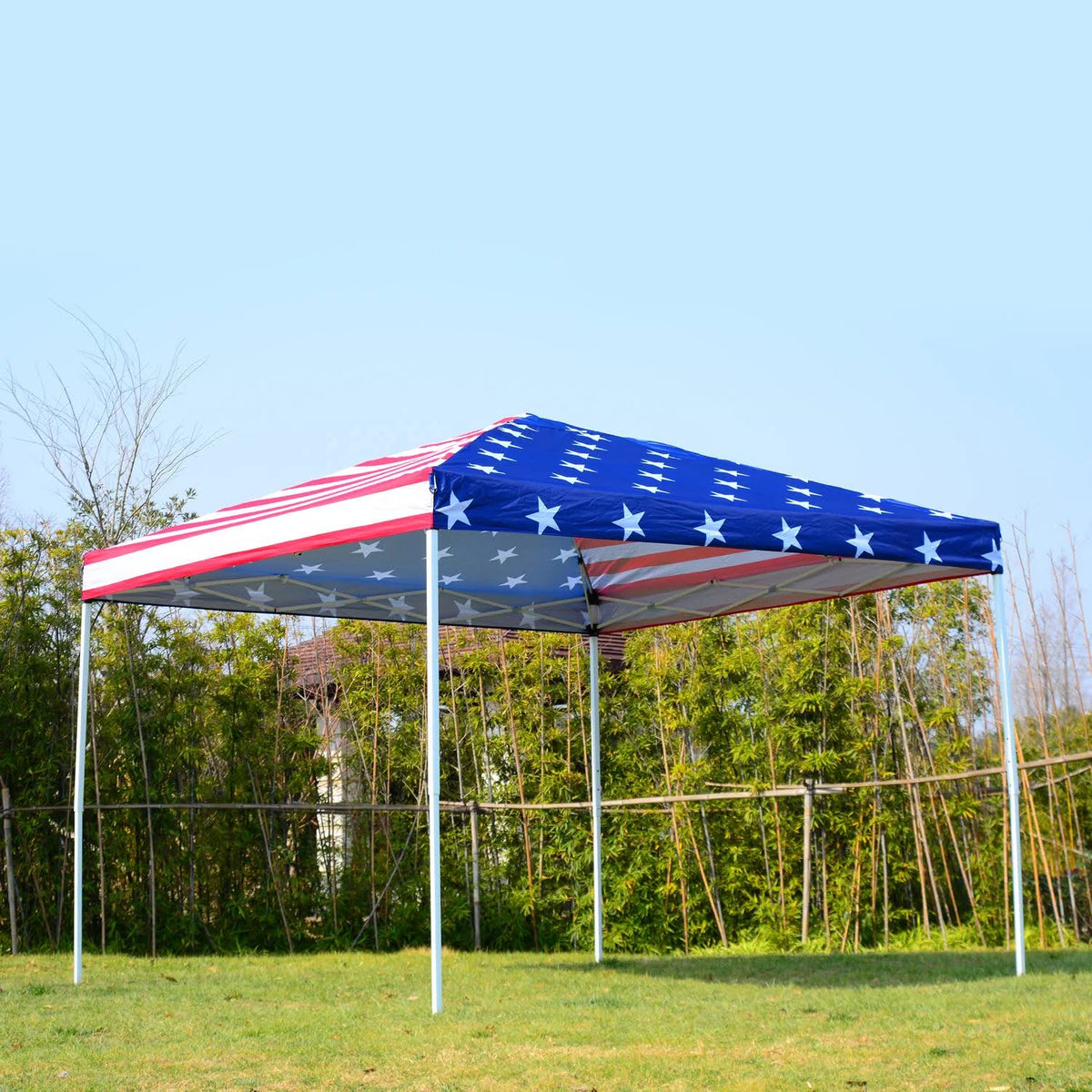 10 x 10 Pop-Up Canopy Tent with Mesh Walls B519801