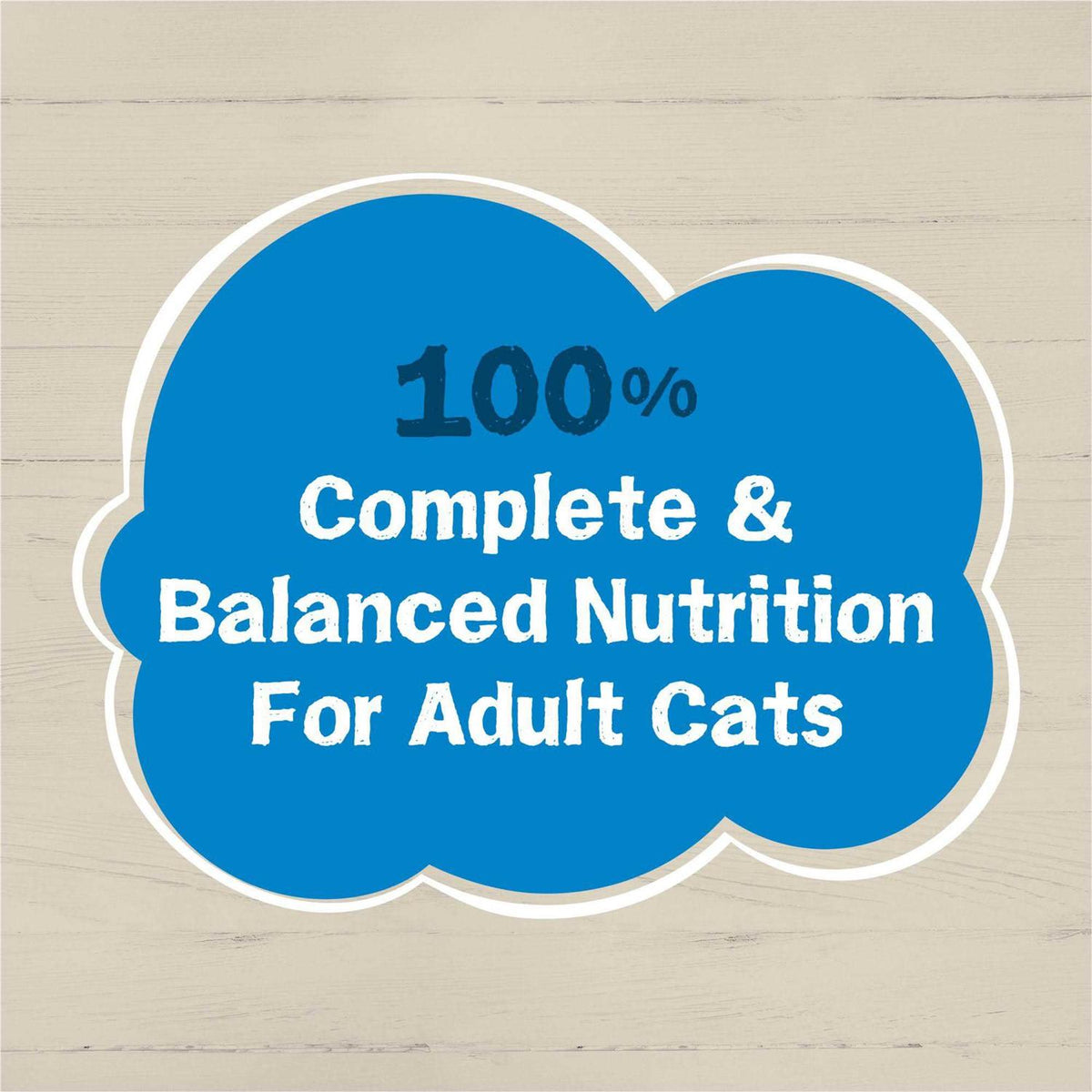 Wet Cat Food O1458