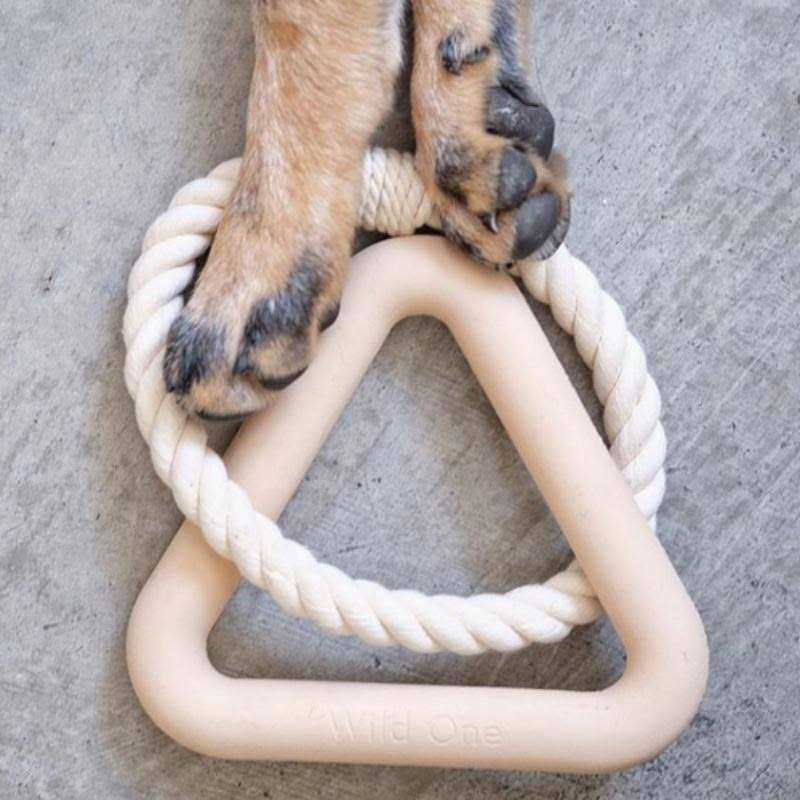 Triangle Tug Dog Toy V63053