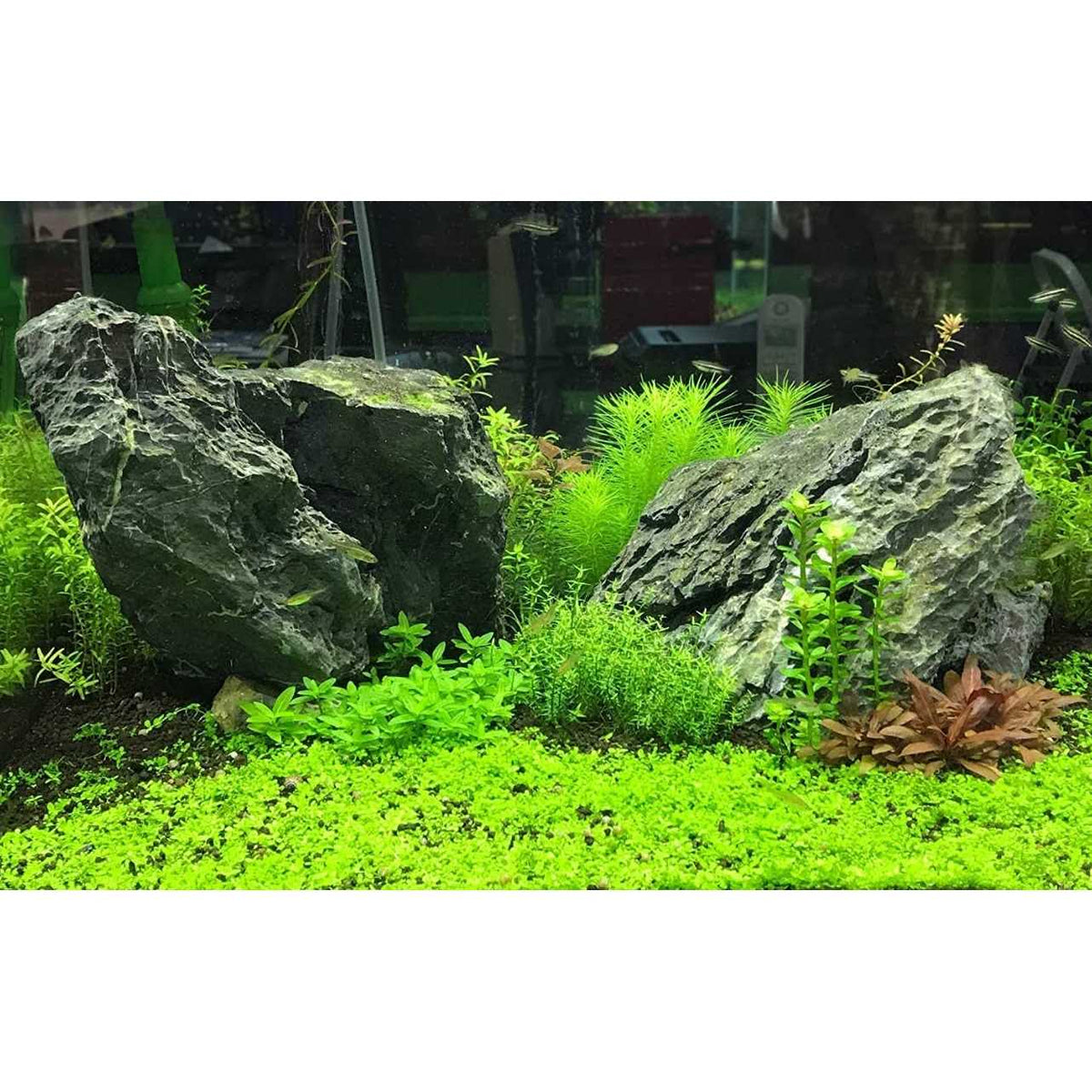 Excel Pet Supplies Y14070