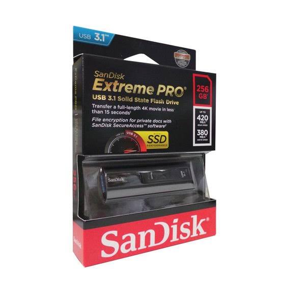 256 GB USB 3.1 Flash Drive G5291