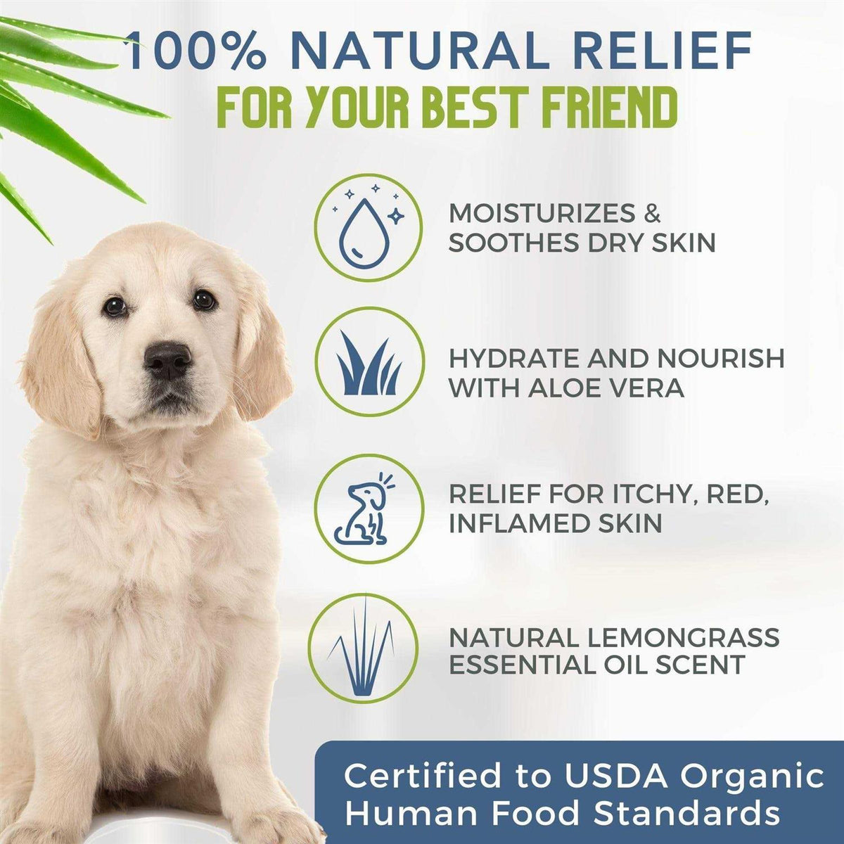Certified Organic Hypoallergenic Dog Shampoo with Aloe and Lemongrass L84472
