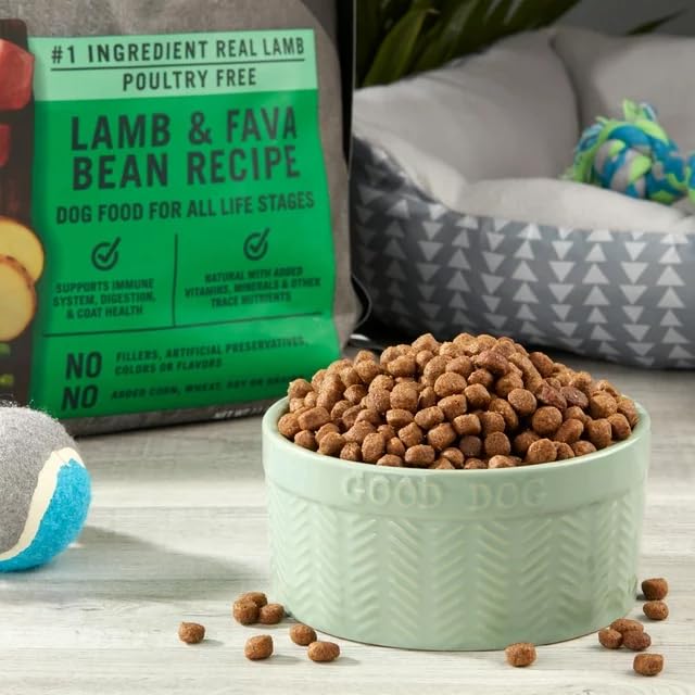 11 Lbs Grain-Free Dry Dog Food (Lamb & Fava Bean) A1801