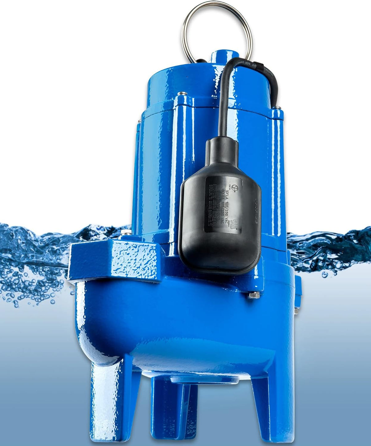 3/4 hp Cast Iron Sewage Pump with Tethered Switch E32420