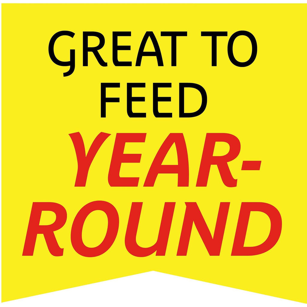 Wild Bird Feed and Seed H123