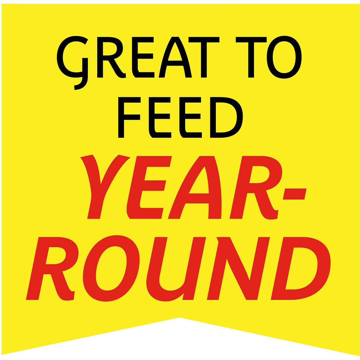 Wild Bird Feed and Seed H123