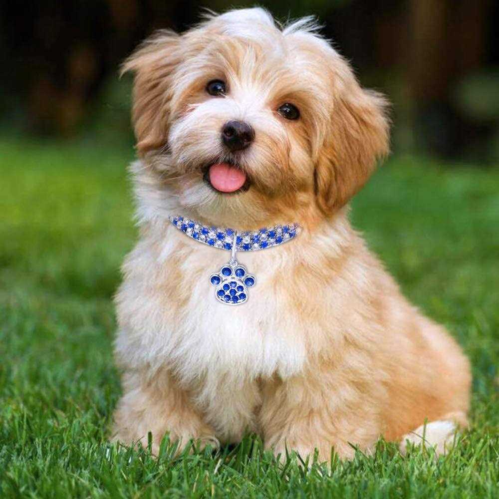 Adjustable Crystal Diamond Pet Collar H155151