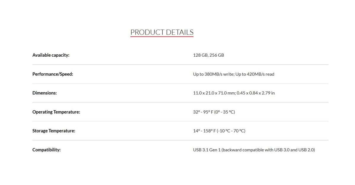 256 GB USB 3.1 Flash Drive G5291