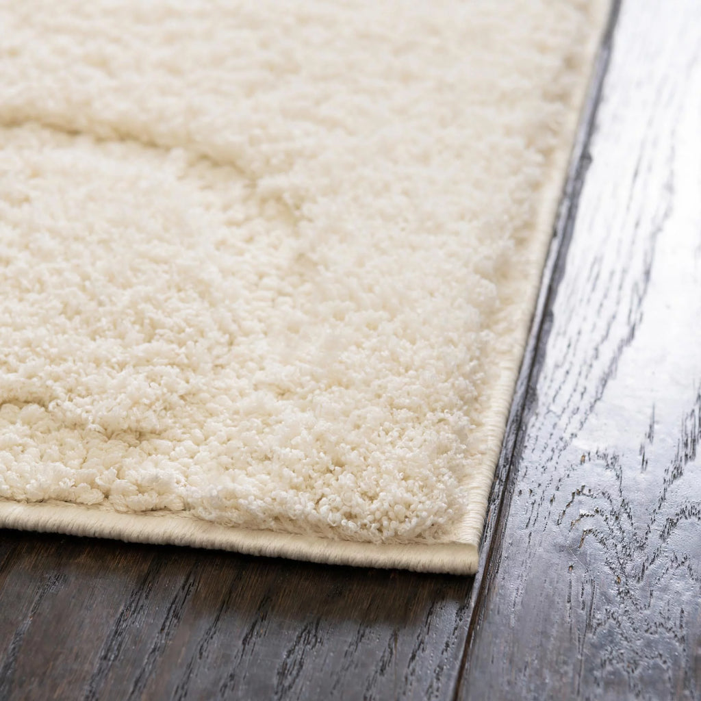 8' x 10' Ivory Shag Rug R507311