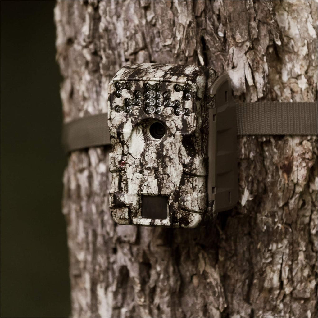 Trail Camera Bundle with Batteries and 16 MB SD Card, Pack of 2 I293264