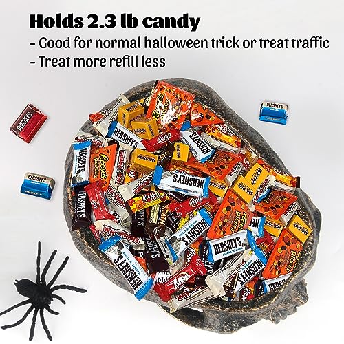Extra Large Skull Candy Dish Bowl Holder Resin Decor A648539
