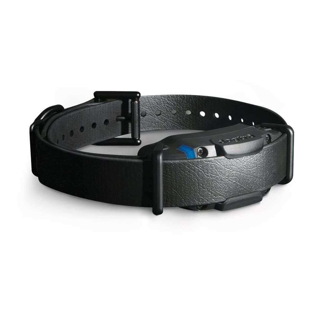 Black 1 Mile Remote Trainer M989