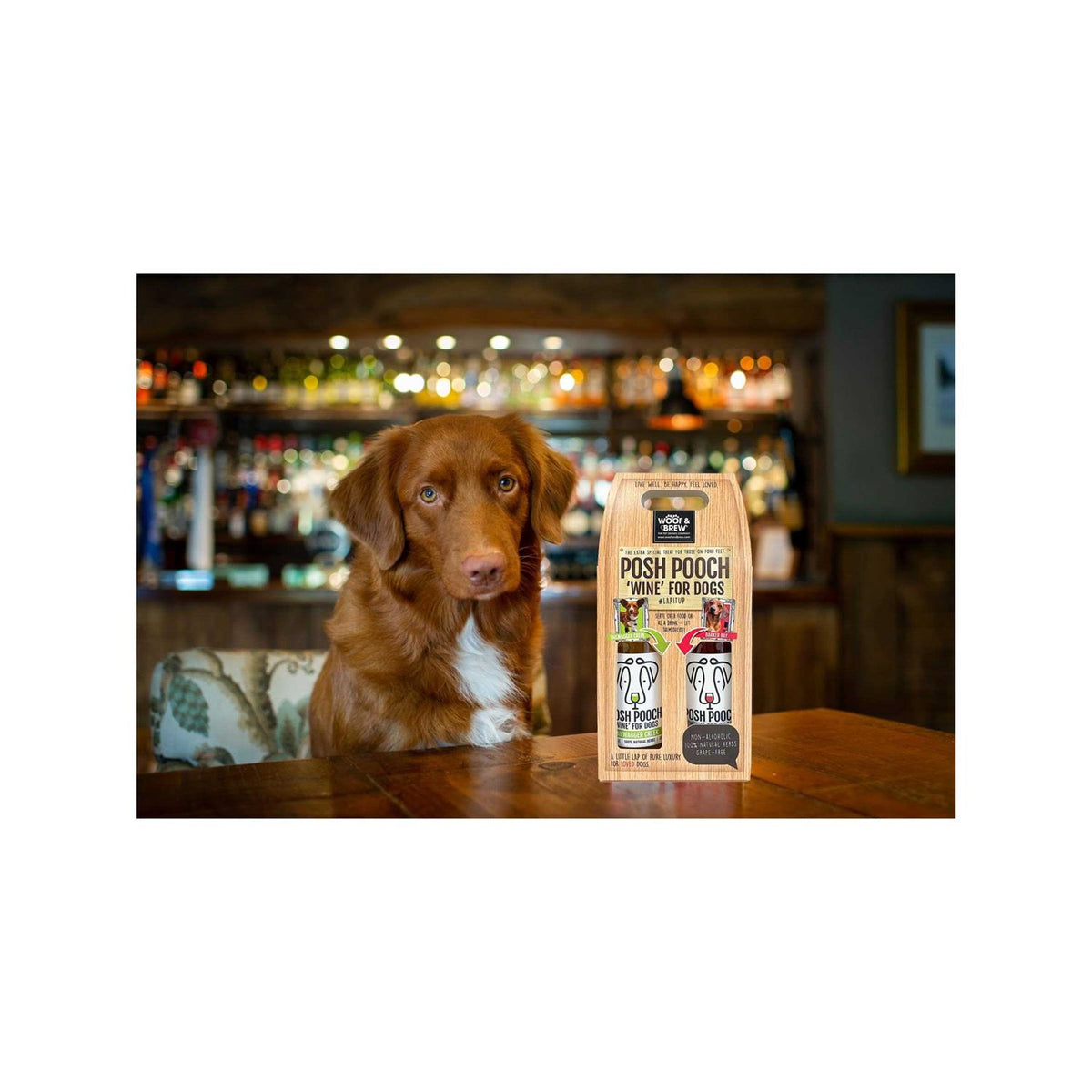 Dog Wine Duo Pack O538