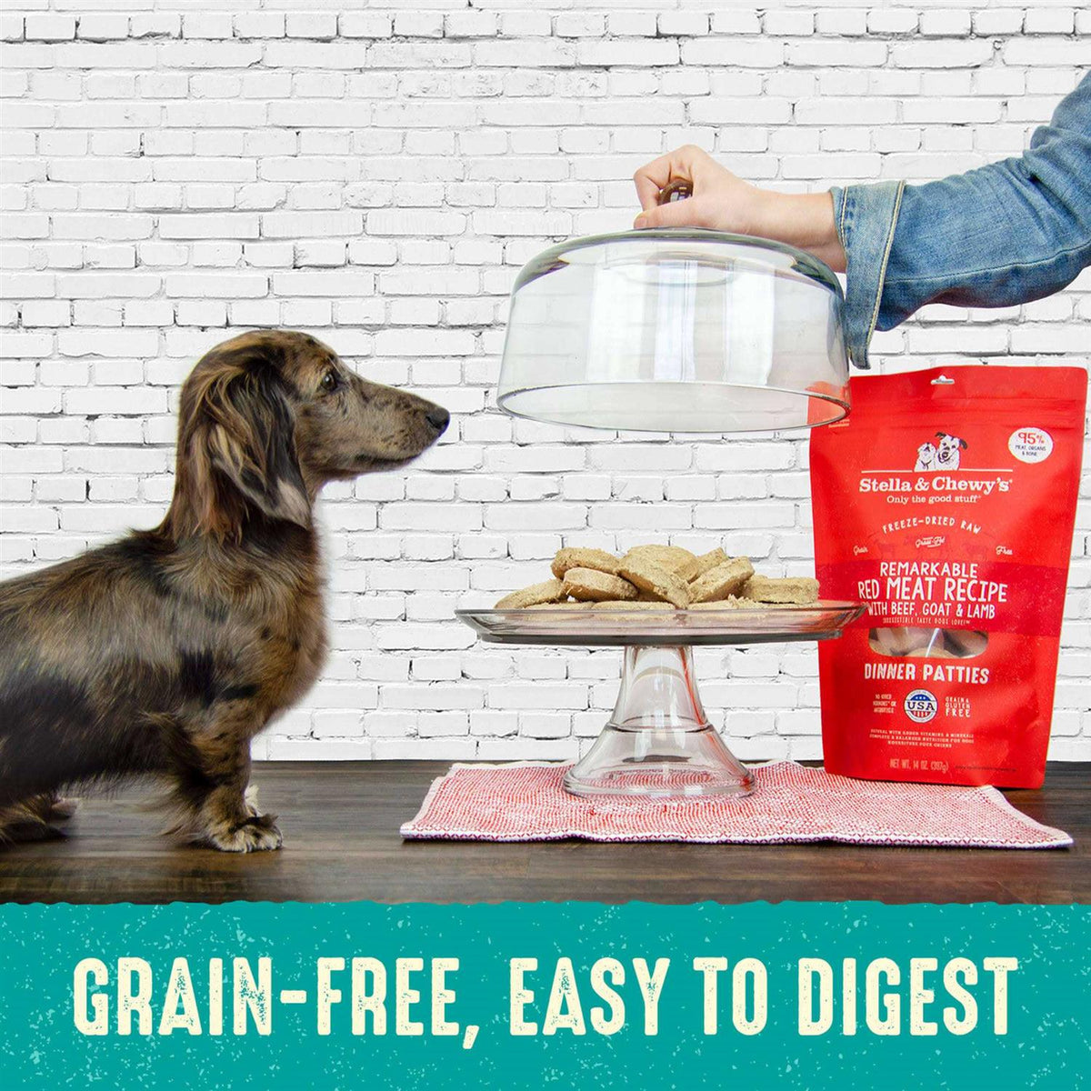 Freeze-Dried Dog Food N2261