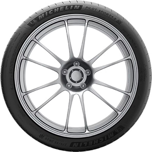 295/30ZR20 Passenger Tire P51226