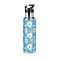 Insulated Stainless Steel Water Bottle with Straw Lid 20 oz Z6518